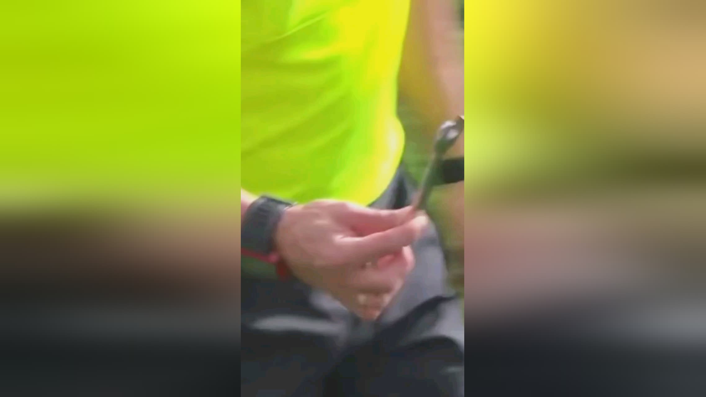 界的体